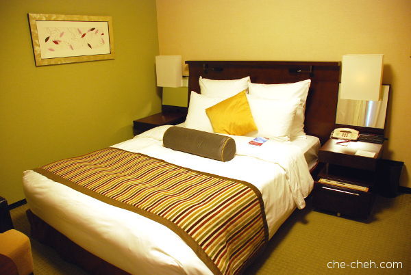 Double Room @ Ana Crowne Plaze Osaka